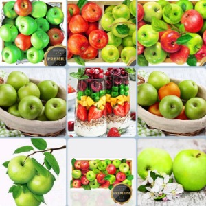 국산 수재샵 사과 과일 시리즈 도안 모음 재물 풍요 그림
